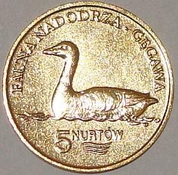 Kołbaskowo - 5 Nurtów / 2009 r. - Gęgawa