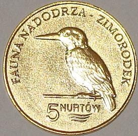 Kołbaskowo - 5 Nurtów / 2009 r. - Zimorodek