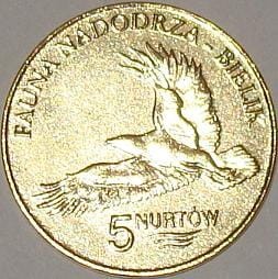 Kołbaskowo - 5 Nurtów / 2008 r. -  Bielik