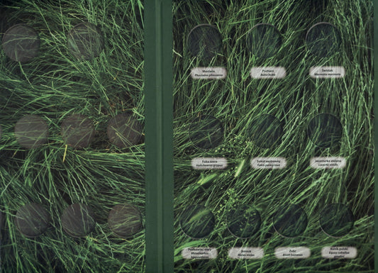 Album na monety 2 zł: Zwierzęta Świata